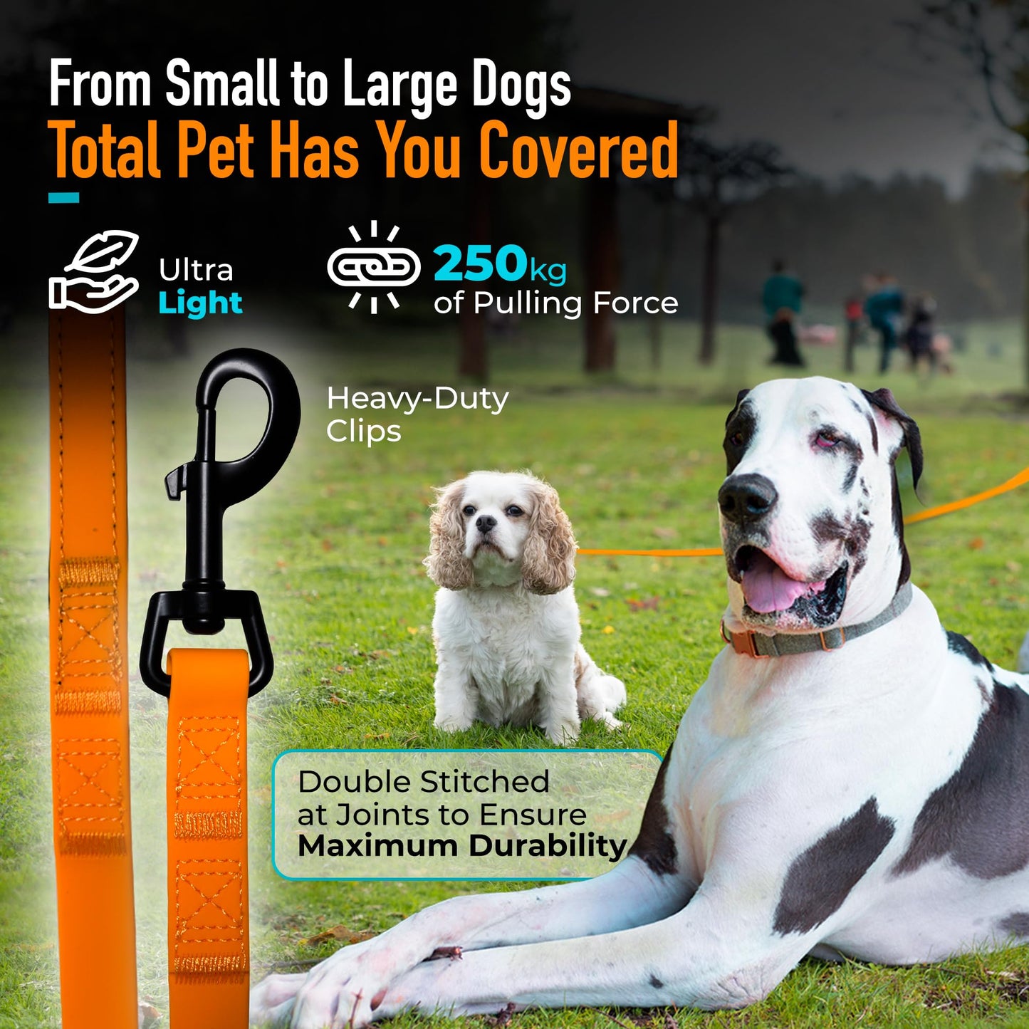 Total Pet Training Lead for Dogs, Waterproof Long Line for Recall & Obedience Training - Extra Long Dog Lead - Suitable for all Sized Dogs (10m, Regular Clip)