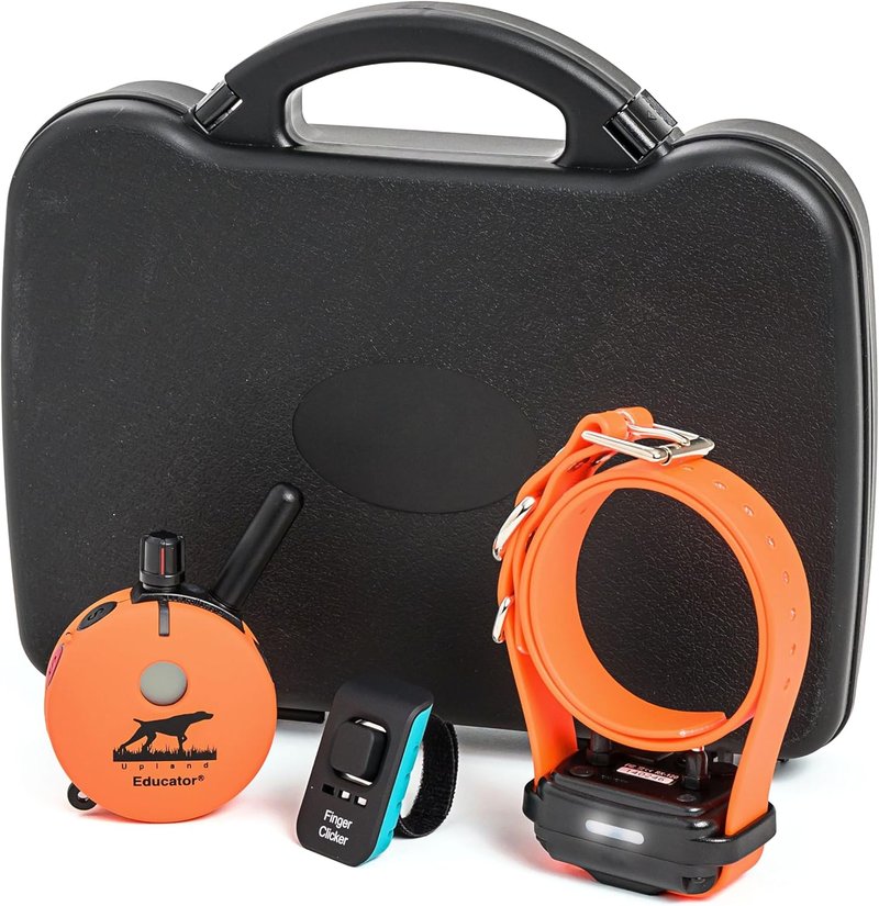 Educator E-Collar Dog Training Collar with Remote | 100 Levels, Waterproof, Rechargeable, Night Light - For Medium/Large Dogs, Orange
