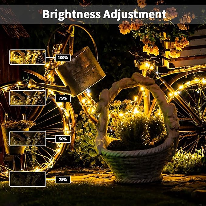 echosari String Lights Battery Powered, 33Ft 100 LED Fairy Lights Warm White Outdoor Christmas String Lights with Remote Dimmable Timer 8 Modes for Wedding Party Garden Decoration