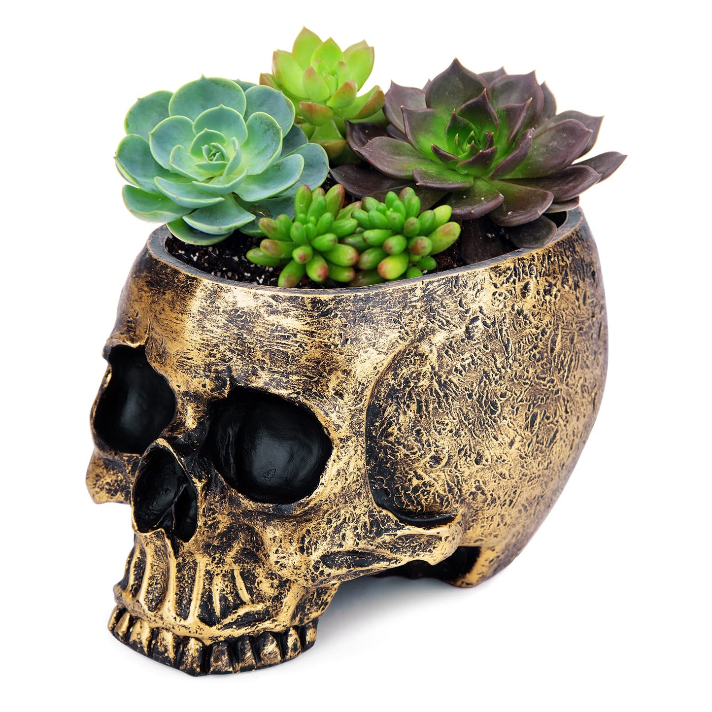 Skull planter , Resin Skull Head Flower Succulent Cactus Planter Pots , Small Object Containers Keys Sugar Candy Bowl , for Home Office Desk Decorations Halloween Scene Statue Sculpture Decorations