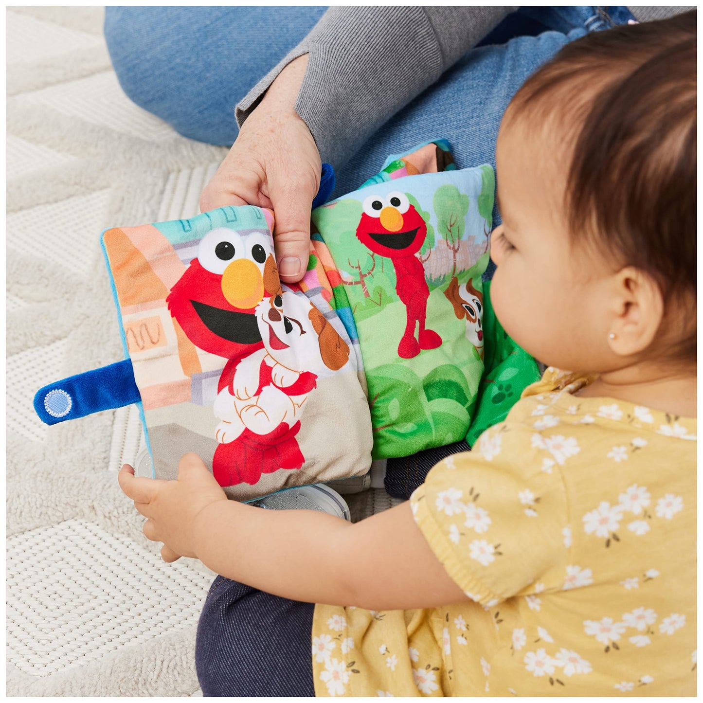 GUND Sesame Street Furry Friends Forever Soft Book, Premium Plush Sensory Toy for Ages 1 and Up, Blue, 6”