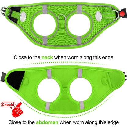 Joytale Small Dog Harness, Breathable Mesh Step-in Vest, Reflective Soft Padded Harnesses Small Sized Dog for Walking, Green, S