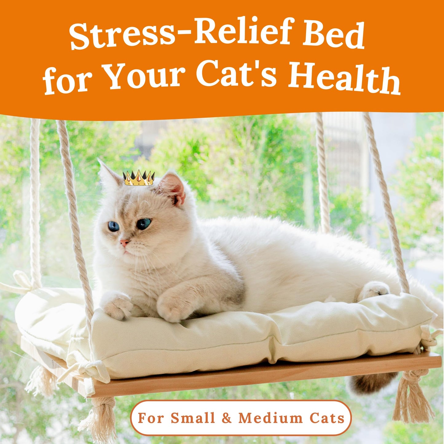 Cat Window Perch - Hammock Bed for Cats Inside - Solid Wood Seat, 4 Strong Suction Cups, Soft Cushion - Rustic Indoor Pet Shelf