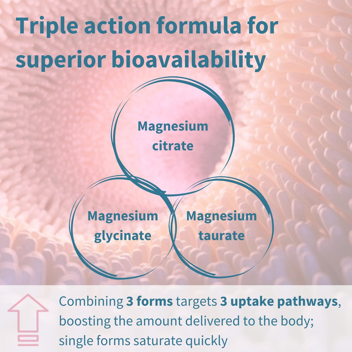 Igennus Superior Triple Magnesium Complex, 90 Servings, 2000mg Glycinate, Citrate & Taurate, Clean Label & Chelated, 262mg Elemental Magnesium, Vegan, 180 Tablets for Women & Men