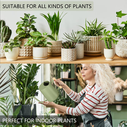 Watering Can for Indoor Plants, 35oz Small Stainless Steel Metal Pot With Long Spout - Modern Decorative for House Plant, Bonsai, Outdoor Garden Flowers - Sage