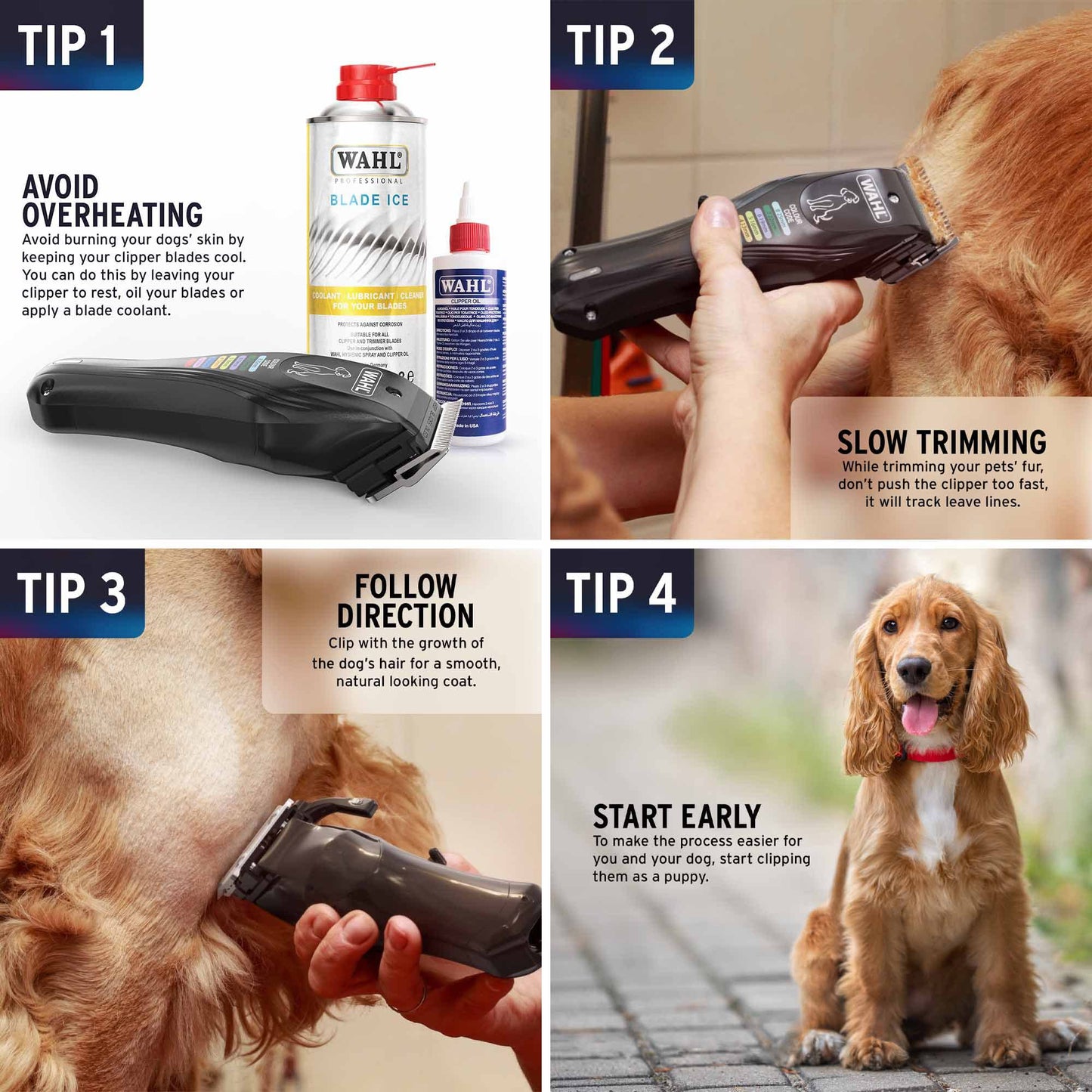WAHL Colour Pro Rechargeable Pet Clipper, Clippers with Coded Combs, Full Coat Grooming for Dogs, Low Noise, Corded/Cordless Dog Clippers, Black