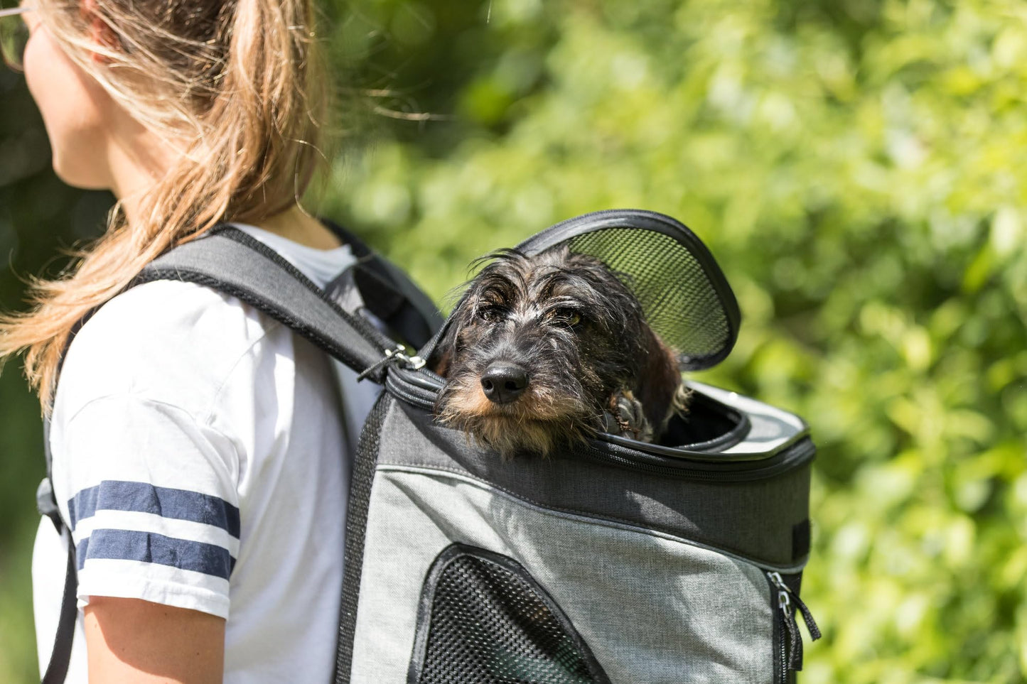 Trixie Rucksack Timon, 34 × 44 × 30 cm, schwarz/grau