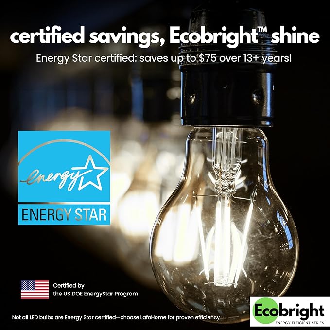 EcoBright 8PK Dimmable A19 LED Filament Bulb, 10W (100W Equivalent), E26 Base, 1100 Lumens, CRI90+, Flicker-Free Clear Glass, Energy Star Title 20, Daylight 5000K,