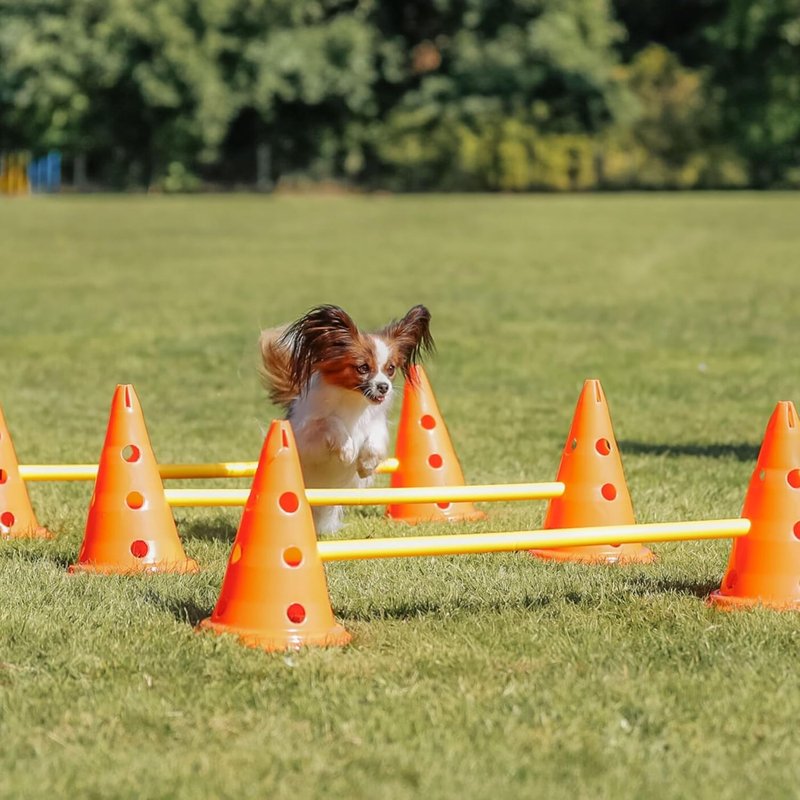 Dog Agility Hurdle Cone Set - Height Adjustable Jump Training Equipment for All Skill Levels | 6 Cones, 3 Rods