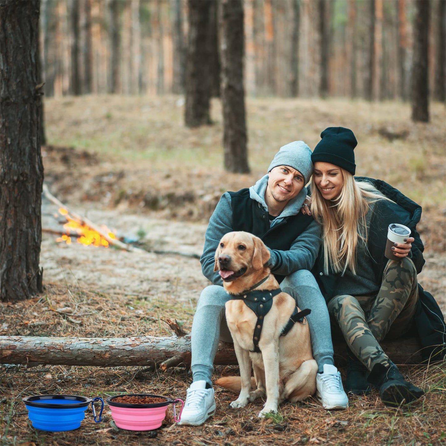 Dog Bowl Pet Collapsible Bowls, 2 Pack for Cats Dogs, Portable Pet Feeding Watering Dish for Walking Parking Traveling with 2 Carabiners (Small, Blue+Green)