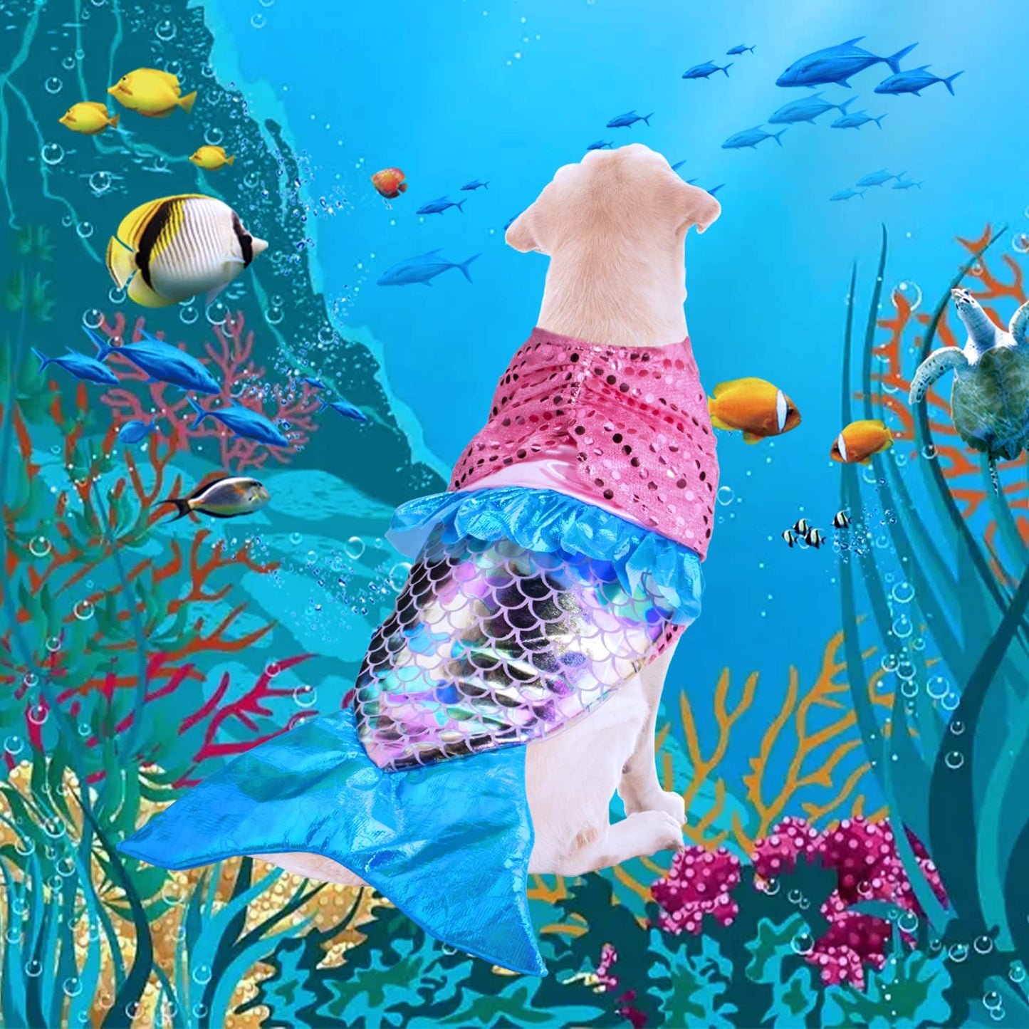 Mermaid Dog Costume - Funny Shiny Halloween Mermaid Costume for Small to Medium Dogs Puppy, Pet Cat Cosplay Outfit Apparel for Christmas Birthday Parties Photo Props