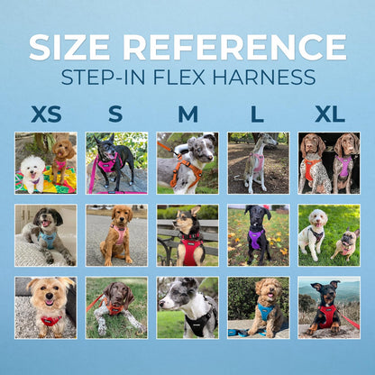 Best Pet Supplies Voyager Adjustable Dog Harness Leash Set with Reflective Stripes for Walking Heavy-Duty Full Body No Pull Vest with Leash D-Ring, Breathable All-Weather - Baby Blue, XS