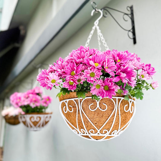 LaLaGreen Hanging Baskets for Plants (4 Pack, 16 Inch) Extra Large Hanging Flower Pot with Coco Liner White Metal Wire Round Plant Holder with Hanger Hook Chain Outdoor Patio Deck Balcony Garden Decor
