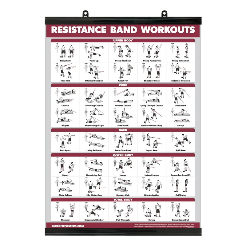 Palace Learning QUICKFIT Resistance Bands Workout Exercise Poster - Double Sided (Laminated with Plastic Frame, 18" x 24")