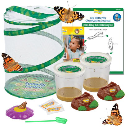 Insect Lore Butterfly Garden Kit – 10 Live Caterpillars, Habitat, STEM Journal, 2 Chrys-a-lid Holding Logs & Feeder – Grow & Release Painted Lady Butterflies – Educational Science Toy
