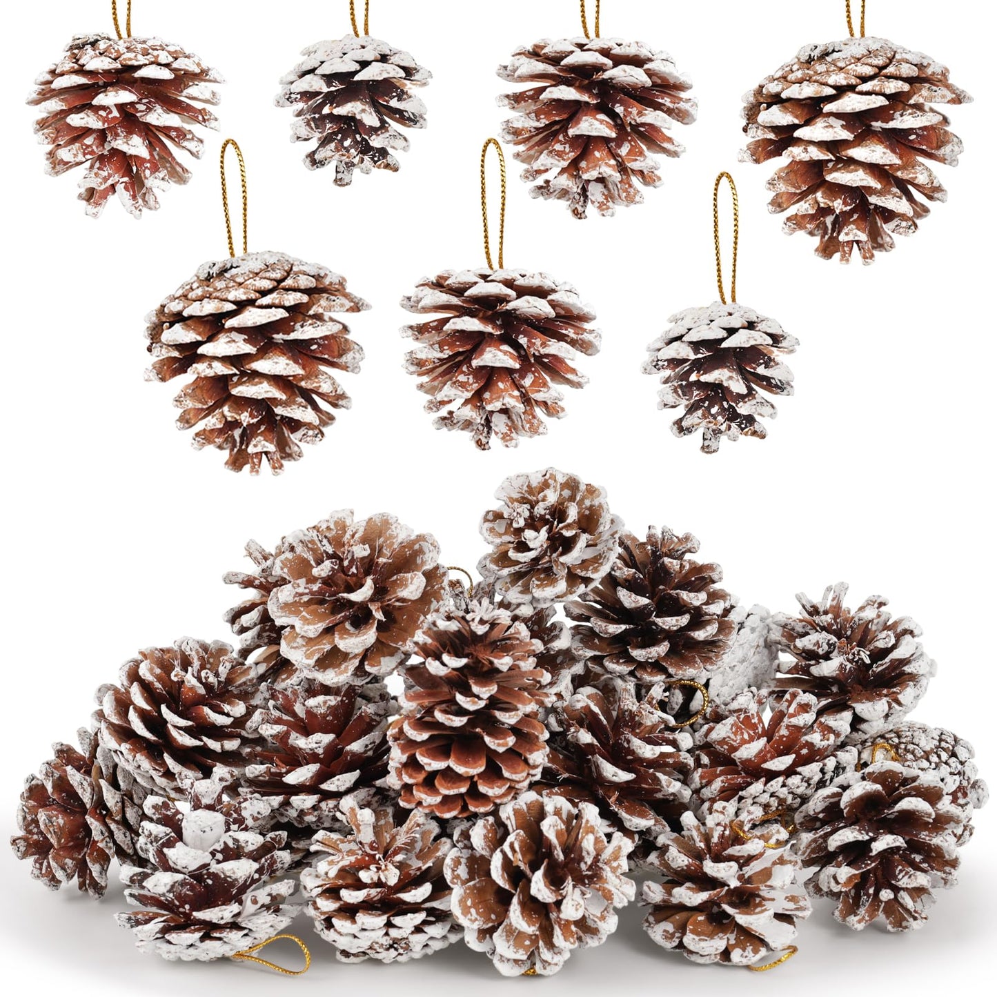 JOHOUSE 24PCS Snow-Dusted Natural Pine Cones with Gold String – 2-2.5in Pinecone for Crafts, Thanksgiving & Christmas Tree, Wreath/Garland DIY, Table/Bowl/Vase Fillers, Fall Winter Home Decor