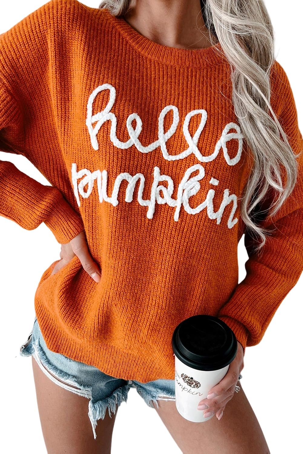 MARZXIN Women 2025 Holiday Graphic Sweater Casual Pullover Tops Merry Christmas Santa Tree Sweaters Flamingo S