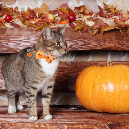 PTDECOR Halloween Cat Collars with Bow Tie Bell, 2 Pack Breakaway Kitten Collar with Removable Bowtie Pumpkin Halloween Collar for Girl Boy Cats (Black & Yellow)