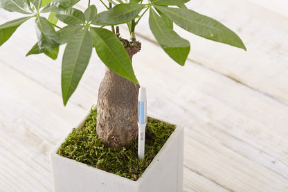 SUStee Watering Indicator for plants (Set of 5) - Smart Watering for All Plants, Works in All Soils | Minimalistic Design, Easy-to-Use, No Batteries | 100% Made in Japan (Green, Medium)