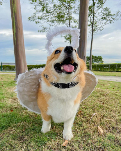 Halloween Dog Collar for Large Dogs Pack of 2, Breakaway Dog Collar for Holiday