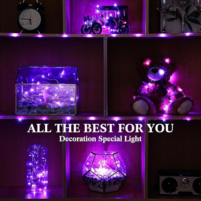 Hortsun 100 Packs Fairy Lights Battery Operated 3 Speed Modes, 7 Ft/ 2 M 20 LED Battery String Mini Waterproof Wire Twinkle Lights Bulk for Wedding Party Birthday Vases (Purple Light)