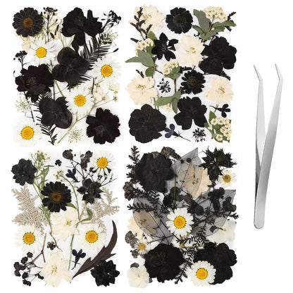 78 Pcs Black and White Dried Pressed Flowers with Tweezer, Halloween Themed Real Dried Flowers Leaves for DIY Crafts Resin Molds, Dried Flowers for Autumn Halloween Decorations