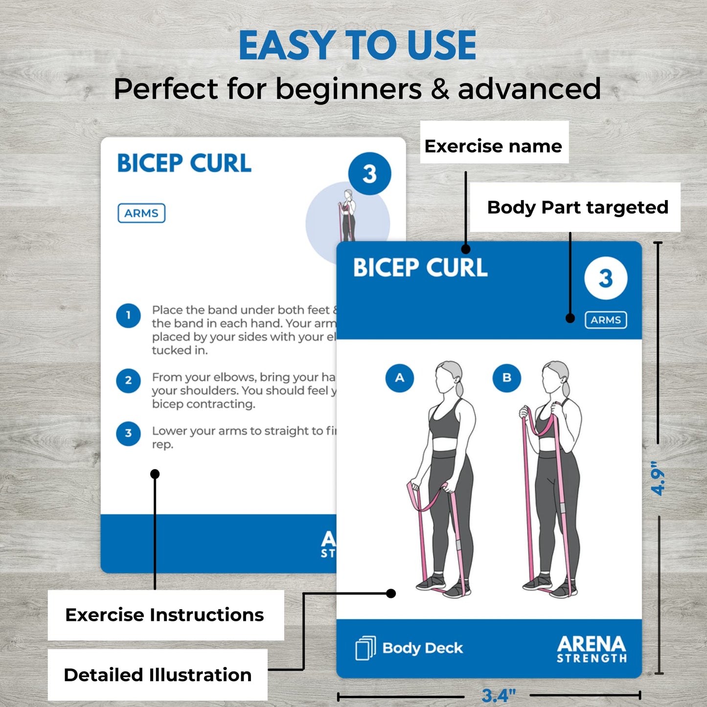 Arena Strength Band Fitness Workout Cards- Instructional Fitness Deck for Resistance Band Workouts, Beginner Fitness Guide for Resistance Band Training Exercises at Home. Includes Workout Routines.