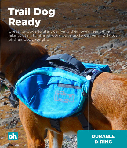 Outward Hound Kyjen 22005 DayPak Dog Backpack Adjustable Saddlebag Style Dog Accessory, Large, Blue