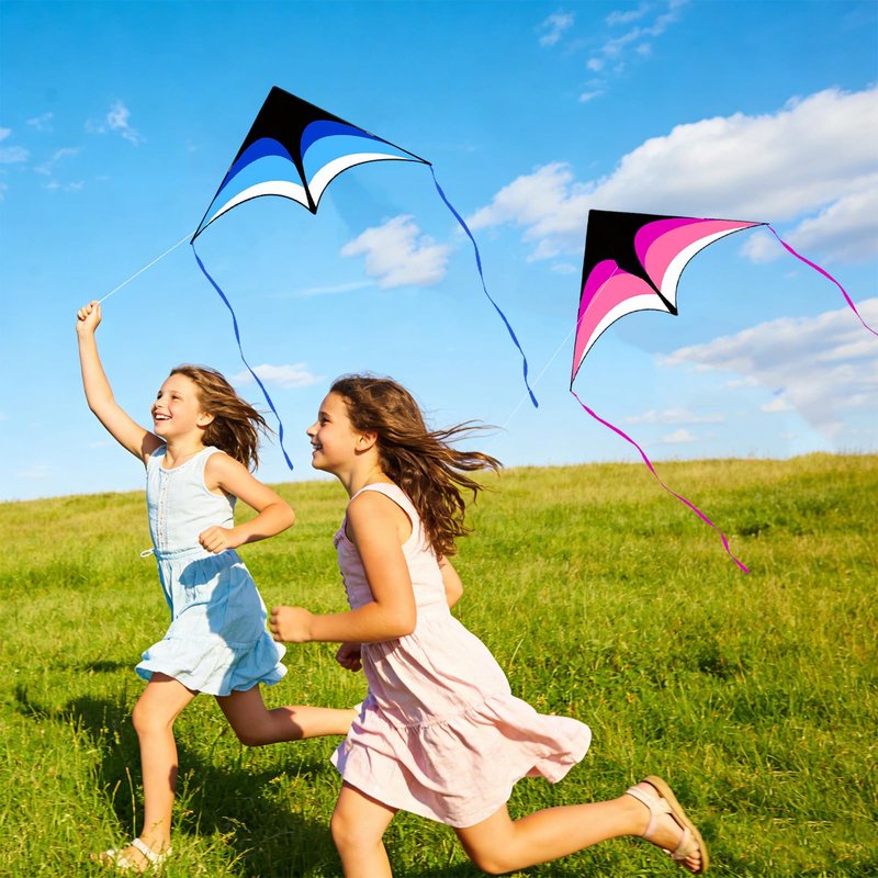 Mint's Colorful Life 2 Pack Delta Kites for Kids & Adults, Easy to Fly Large Kite Set for Beginners, Perfect Family Kites for Park and Beach Trip with 300ft String Handles (Blue&Pink)