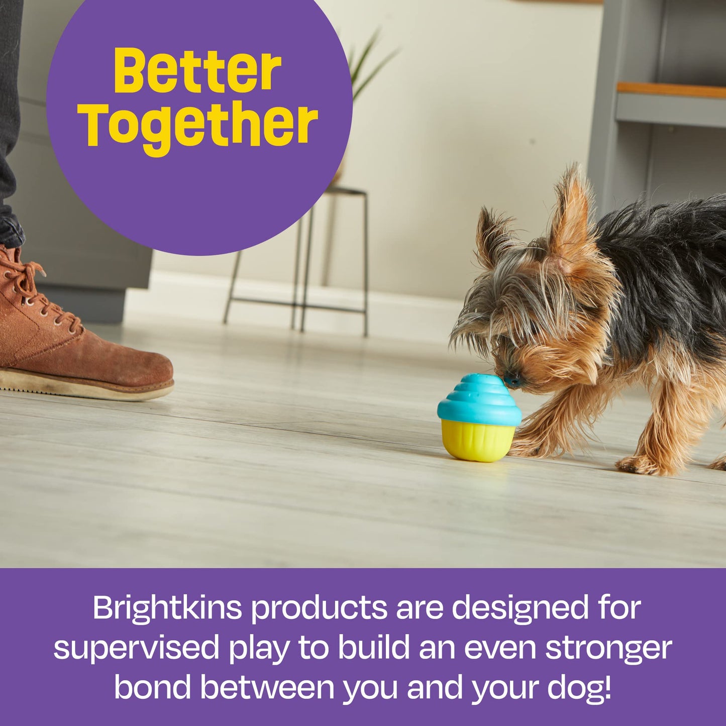 Brightkins Small Cupcake Treat Dispenser for Dogs - Enrichment Dog Birthday Toy for All Breeds, Interactive Gift for Puppies