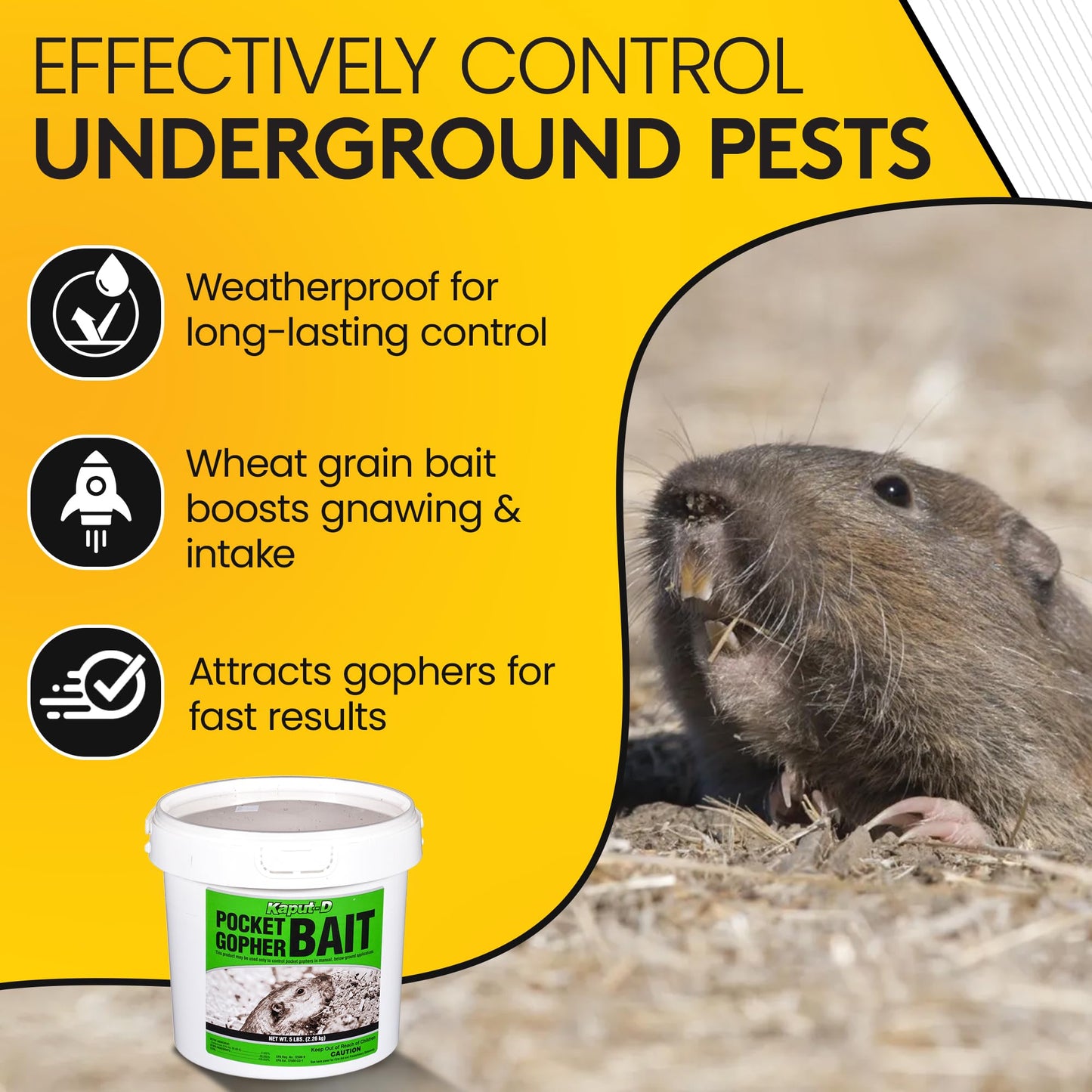 Kaput-D Pocket Gopher Bait - Ready-to-Use Wheat Grains for Effective Rodent Bait, Perfect for Residential & Agricultural Use - Diphacinone Formula for Lawn, Turf & Crop Areas (5 lbs)