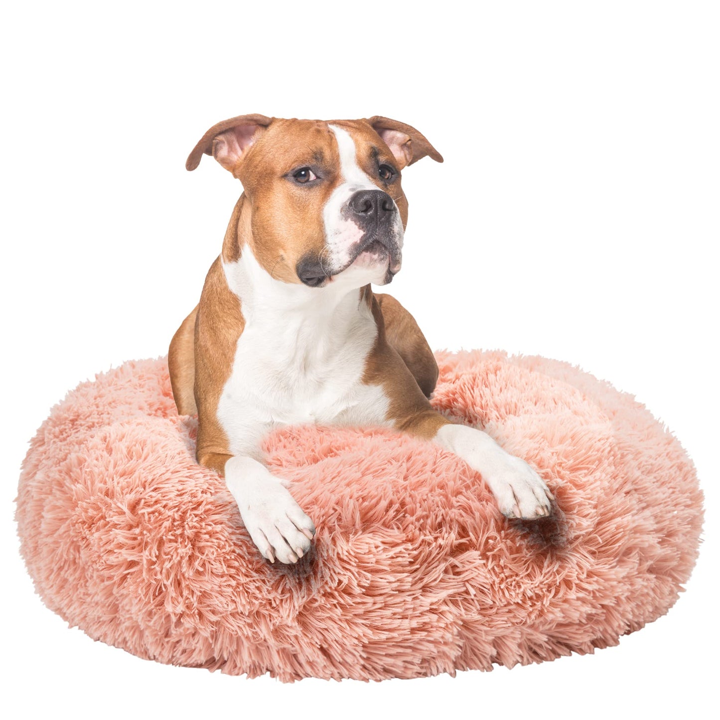 Fur & Bone Round Plush Donut Dog Cat Bed | Fluffy Cuddler Pet Cushion Self-Warming Beds | Washable Dog Bed with Non-Slip and Waterproof Bottom Calming Dog Bed - (60cm, Pink)