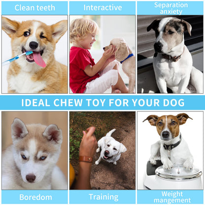 cobee Puppy Teething Chew Toys, 3 Packs Small Dog Puppy Toy Ring 360° Clean Pet Teeth and Soothe Itching Rubber Dog Chew Toy Oral Health Puppy Interactive Chew Toys