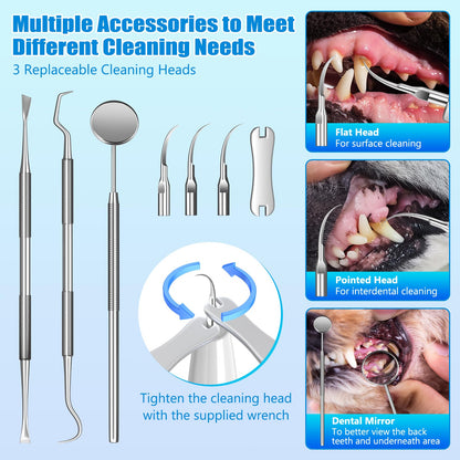 Dog Tartar Remover for Teeth, Dog Teeth Cleaning Kit with LED Light and 5 Modes, Teeth Cleaner for Dogs and Cats,White