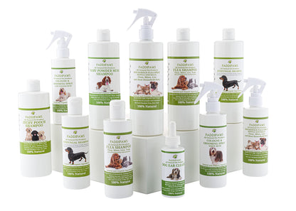 100% Natural Antifungal and Antibacterial Dog Shampoo - Yeast Infections, Ringworm, Dermatitis, Pyoderma - Safe - Natural - Paraben and SLS Free - 250ml - Larger bottle available from the store.