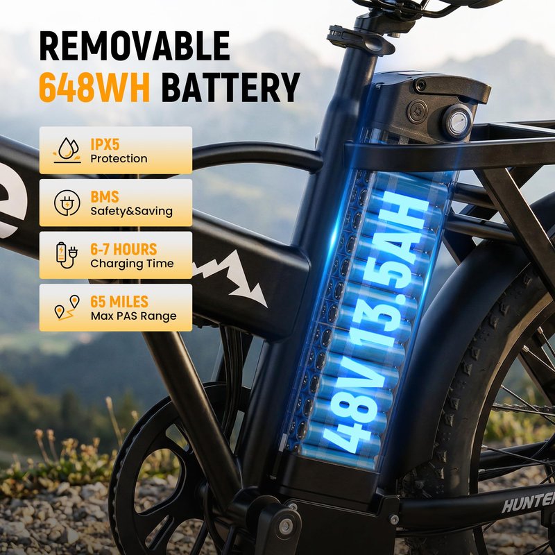 Qlife Hunter Foldable Electric Bike for Adults, Peak 1200W Ebike with 48V 13.5Ah Battery, 65-Mile Range, Heavy-Duty Rear Rack, 20-Inch Fat Tires, Folding E Bike for Commuting & Outdoor Use