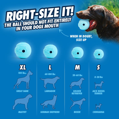 Chuckit! Interactive Ball Dog Toy Whistler Noise, Durable Rubber Dog Balls, Launcher Thrower Compatible Interactive Toys for Dogs for Boredom, Medium, Pack of 2
