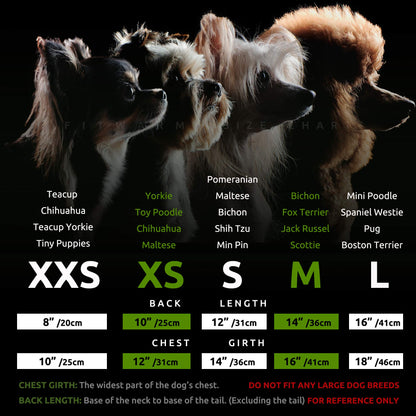 Fitwarm Hocus Pocus Y'all Funny Dog Halloween Tulle Dress, Holiday Dog Clothes for Small Dogs Girl, Funny Pirate Skull Pet Costume, Witch Cat Outfit, Orange, Black, Small