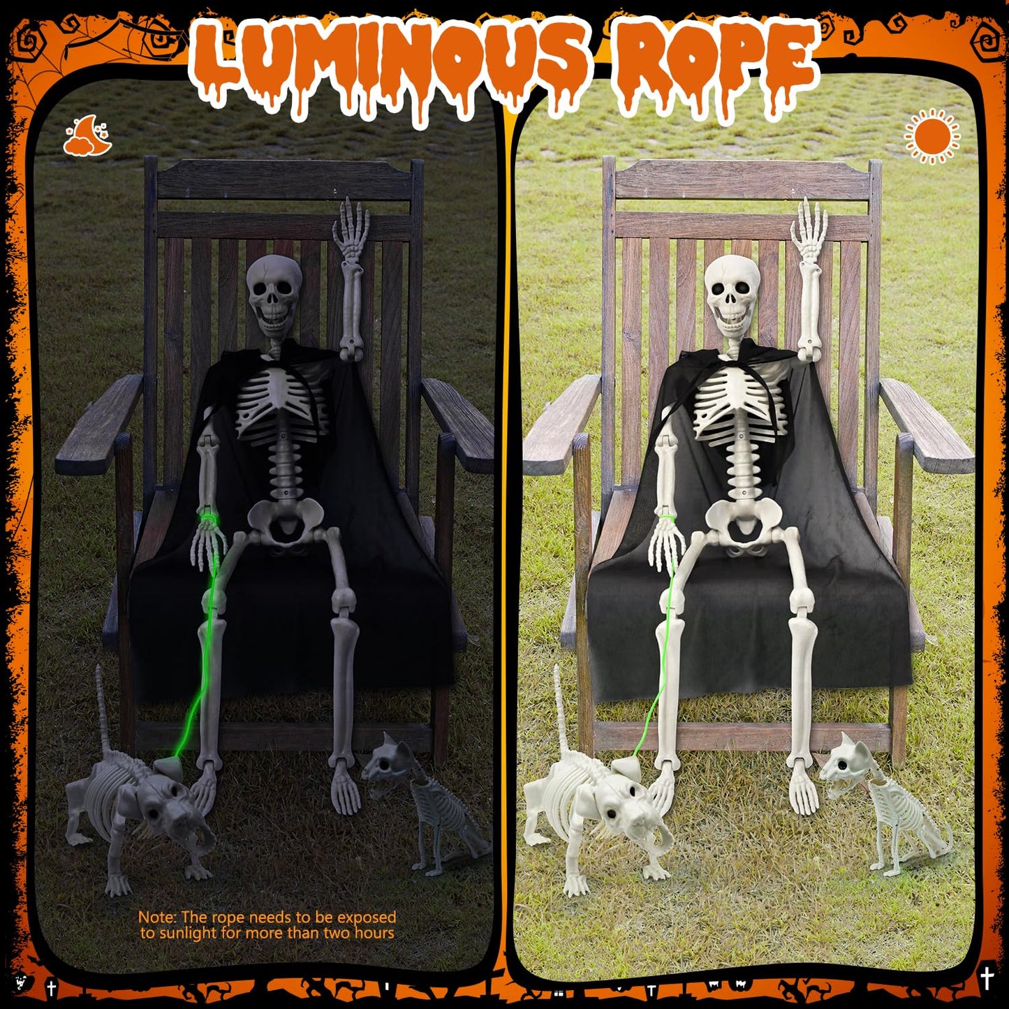 Askill 36" Skeleton Halloween Decorations, 3FT Posable Skeleton with Dog & Cat Skeleton - 5 in 1 Creepy Plastic Movable Joint Skeleton for Halloween Party Yard Decor (36inch)