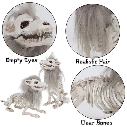 DR.DUDU 2 Pack Halloween Skeleton Wolf Decorations, Life Size Animals Skeletons Poseable Halloween Decor Plastic Bones with Hair Wolf Skull Figurines for Table Yard Lawn Party Props Décor