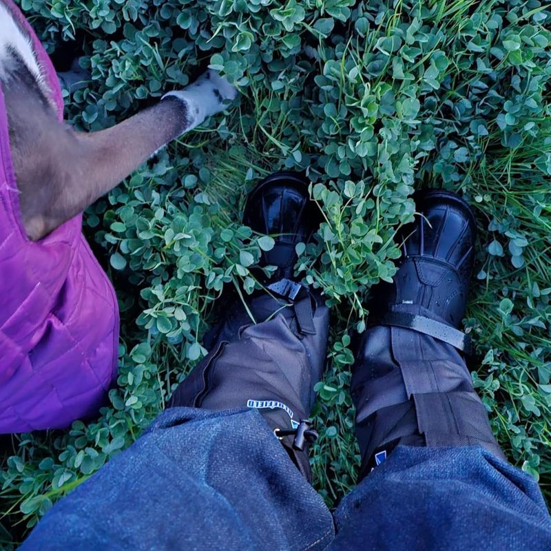 Waterproof Leg Gaiters for Hiking & Climbing | Lightweight Snow Boot Gaiters for Men & Women