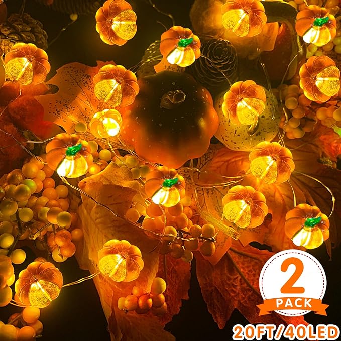 TURNMEON 2 Pack 3D Thanksgiving Pumpkin Lights Thanksgiving Decorations, Total 20Ft 40LED Warm White Pumpkin String Lights Battery Operated Thanksgiving Light Thanksgiving Decor Fall Home Indoor Decor