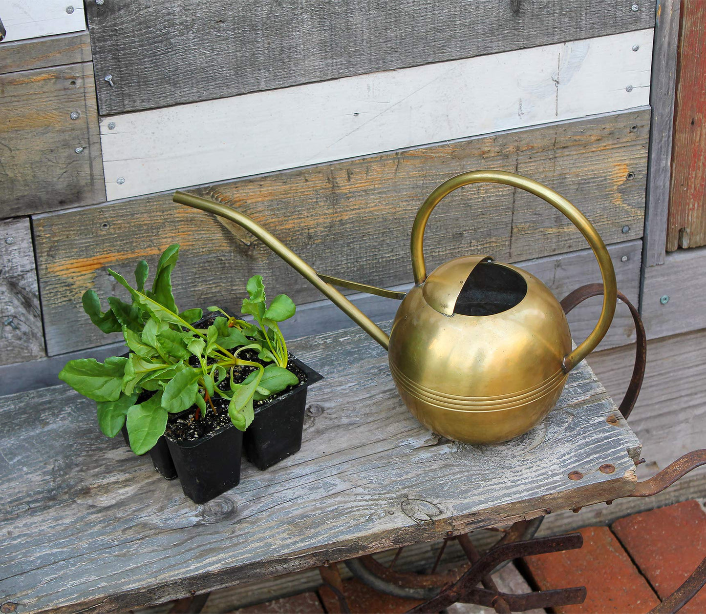 Achla WC-01 Designs Watering Can, 1L, Brass