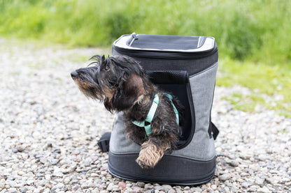 Trixie Rucksack Timon, 34 × 44 × 30 cm, schwarz/grau