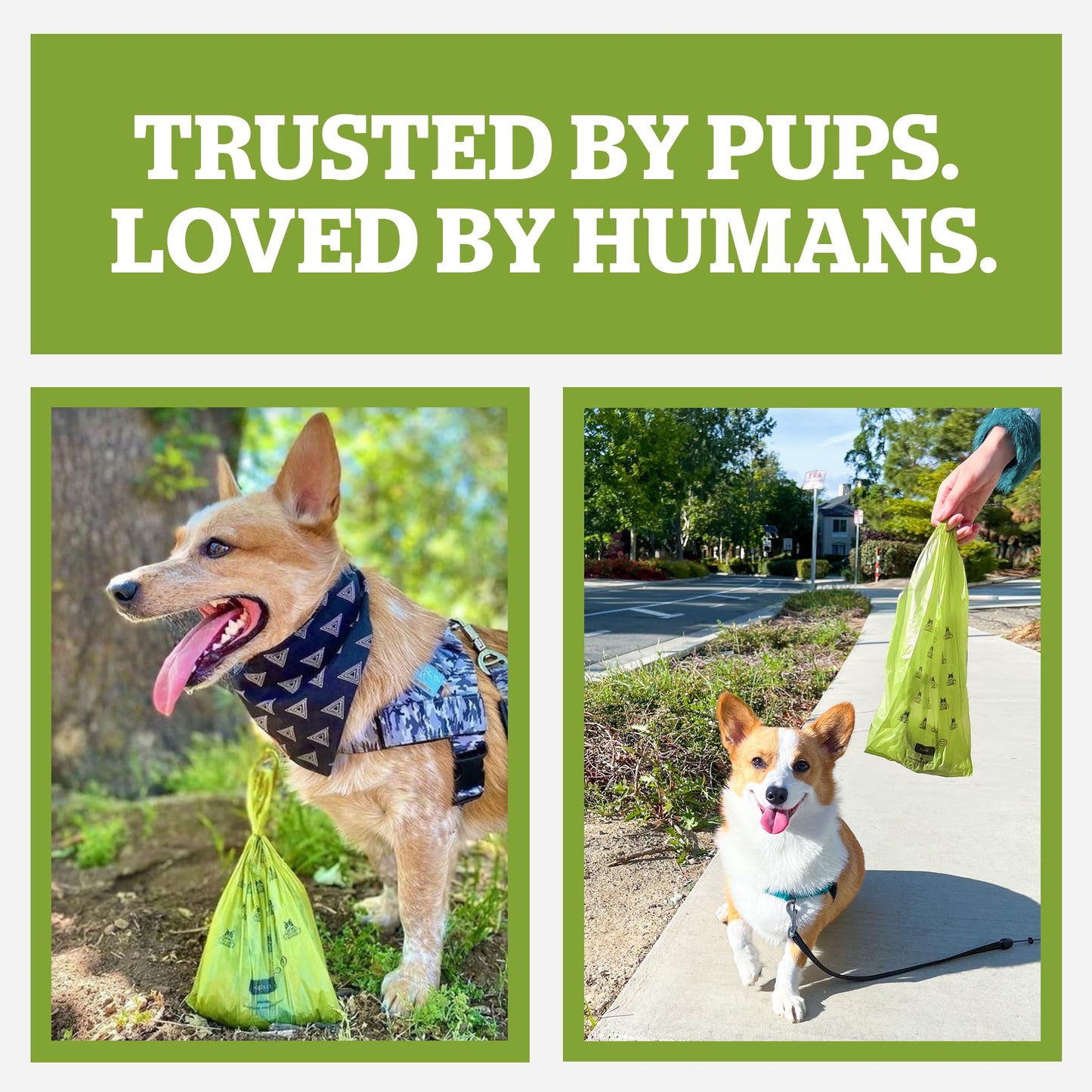Pogi’s Dog Poo Bags – 750 Bags (50 Rolls) with 2 Dispensers – Biodegradable, Leak-Proof, Extra Strong