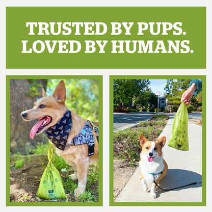 Pogi’s Dog Poo Bags with Handles – Extra Thick, Leak-Proof, Large, Fresh Scented, 300-Count