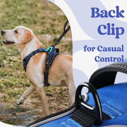 rabbitgoo Dog Harness Medium with Neck Release Buckle, Adjustable No Pull Harness with Front Back Clips, Soft Padded with Easy Control Handle, Reflective Pet Walking Vest, Blue, M
