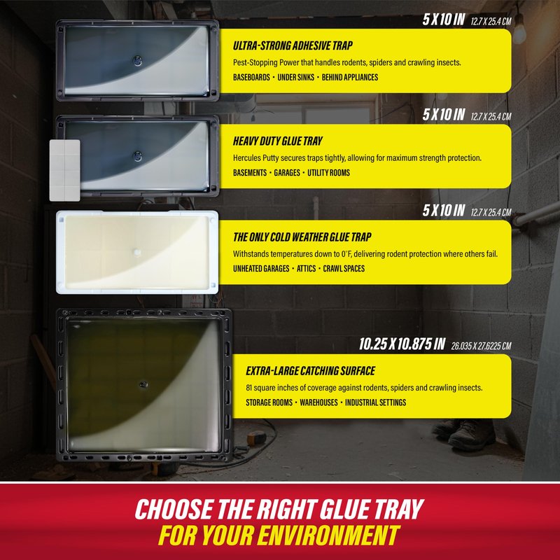 Catchmaster Rat & Mouse Glue Traps with Sticky Putty 2Pk, Large Bulk Glue Board, Rat & Mouse Traps Indoor for Home, Adhesive Plastic Tray for Snakes, Mice & Spiders, Pest Control for House & Garage