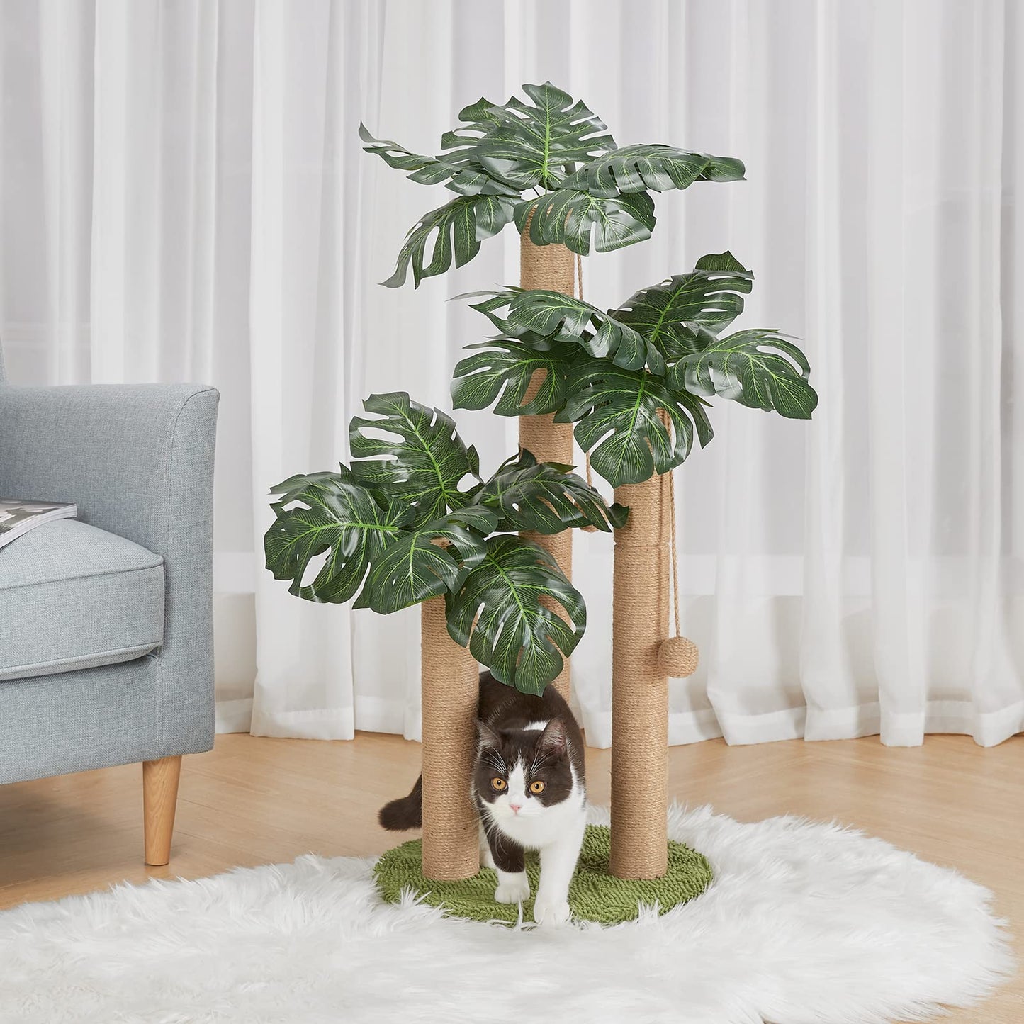 31.5Inch Cat Scratching Post,Cat Scratcher Tree with 3 Scratching Poles & 2 Interactive Dangling Balls,Cats Scratching Posts for Indoor Kitten & Adult Cats (Monstera tree)