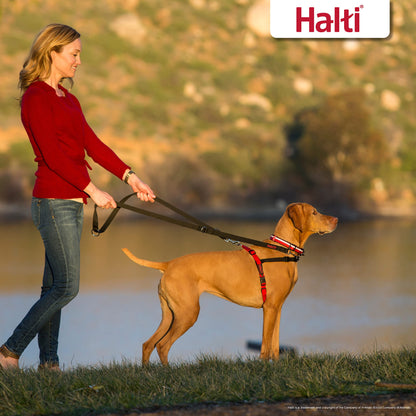 HALTI Front Control Harness - To Stop Your Dog Pulling on the Leash. Adjustable, Lightweight and Easy to Use. Anti-Pull Dog Training Harness for Medium Dogs (Size M)